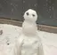 ぴのプロフィール画像