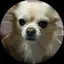 レバニラのプロフィール画像