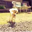 matchinのプロフィール画像
