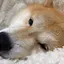 ちのプロフィール画像