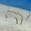 みさきのプロフィール画像