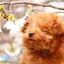 まのプロフィール画像