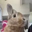 あわわのプロフィール画像
