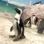 ふゆのプロフィール画像