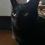 くろねこさんのプロフィール画像