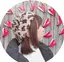 あかぽんのプロフィール画像