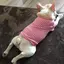 ゆかのプロフィール画像