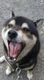 まゆのプロフィール画像