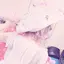 serikaのプロフィール画像