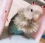 彩夏のプロフィール画像
