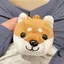 AZのプロフィール画像
