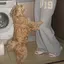 みゆのプロフィール画像