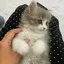 ばくちーのプロフィール画像