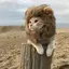 まりおのプロフィール画像