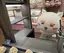 ちるくまのプロフィール画像