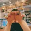 icchiのプロフィール画像