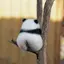 ももたおのプロフィール画像