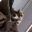 はせべのプロフィール画像