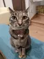 あーのプロフィール画像