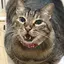 kiichanのプロフィール画像
