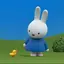 心音のプロフィール画像