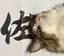 サトウのプロフィール画像