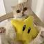 うるのプロフィール画像