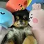 あずきのプロフィール画像