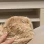 さほのプロフィール画像