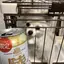 那月のプロフィール画像