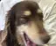 ひなのプロフィール画像