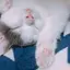 みのプロフィール画像