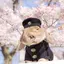 メイのプロフィール画像