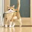 くまるのプロフィール画像