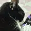 チェのプロフィール画像