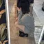 ねねのプロフィール画像