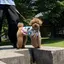 みなみのプロフィール画像