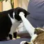 Martのプロフィール画像