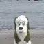 RIOのプロフィール画像