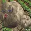ゆみんこ゛のプロフィール画像
