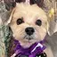 幸恵のプロフィール画像
