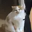 ルンのプロフィール画像