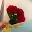 yuuのプロフィール画像