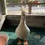 寛奈のプロフィール画像