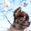 michのプロフィール画像