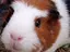 沙灯のプロフィール画像