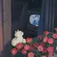 みなみのプロフィール画像