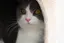 かなのプロフィール画像
