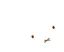 うどん姫のプロフィール画像