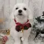Mayuのプロフィール画像